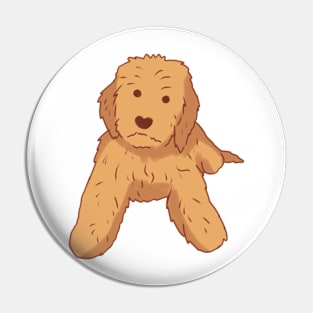 Golden doodle dog sitting Pin
