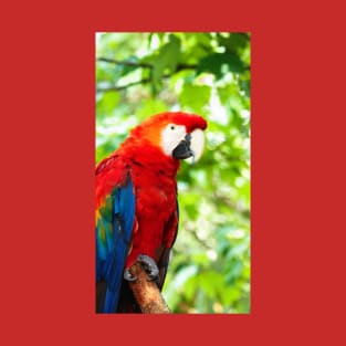 Scarlet Macaw Red Bird Perched in a Tree T-Shirt