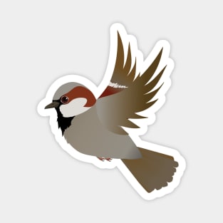 House sparrow flying Magnet