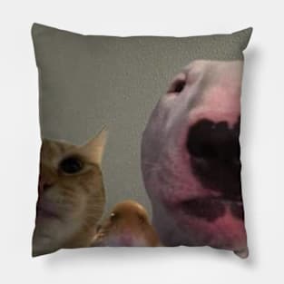 3 Little Dudes Looking At You Pillow