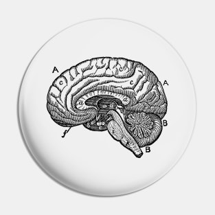 Simple Brain Diagram Pin