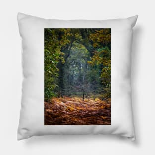 Light in the forest Pillow