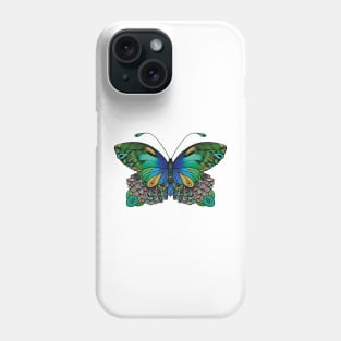 Butterfly in Blue, Green, and Yellow Shades Phone Case