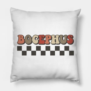 Bocephus Checkered Retro Groovy Style Pillow