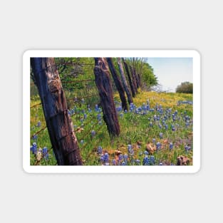 Flowers and Fence Posts Magnet