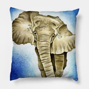 African Continent (Ben Heine) Pillow