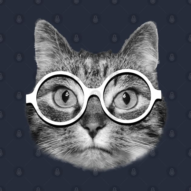 Cute hipster cat with white eyeglasses by Purrfect