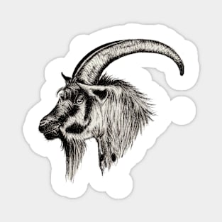 Ibex Magnet