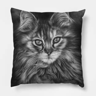 The Calico Kitten Pillow