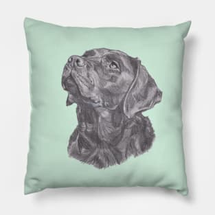 Classic Labrador Retriever Dog Profile Drawing Pillow