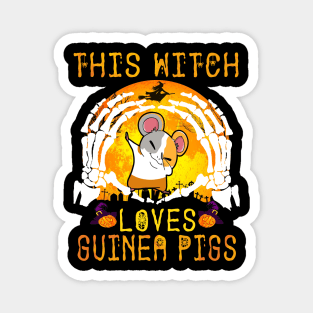 This Witch Loves Guinea Pigs Halloween (101) Magnet