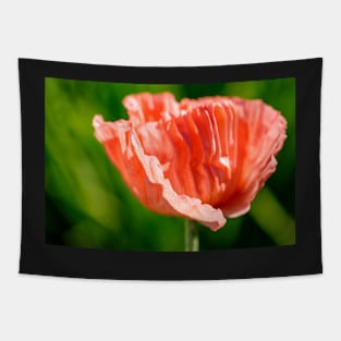 Pink feather oriental poppy flower Tapestry