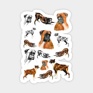 boxer dog Magnet