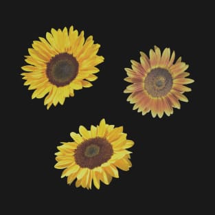 Sunflowers vintage pack T-Shirt