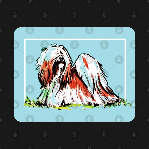 Lhasa Apso by chepea2