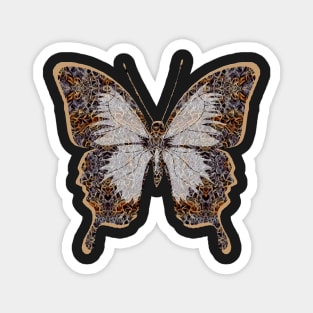 Butterfly Variation 10 Magnet