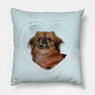 Cute Pekingese dog Pillow