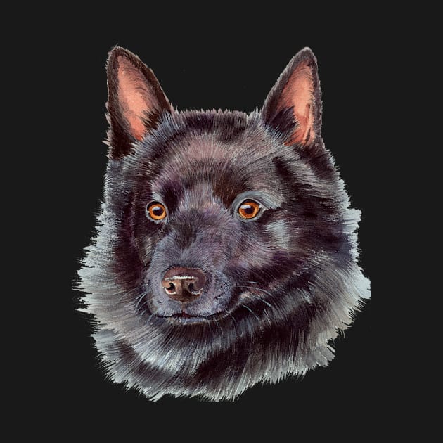 Schipperke by doggyshop