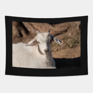 White Kid Goat Tapestry