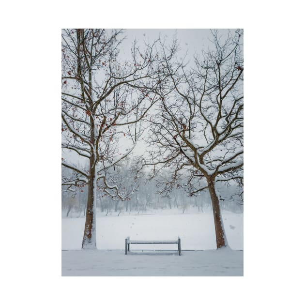 a bench under the snowy trees by psychoshadow