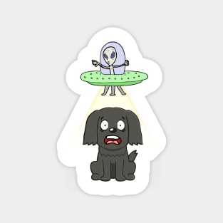 Funny black dog is being abducted by aliens Magnet