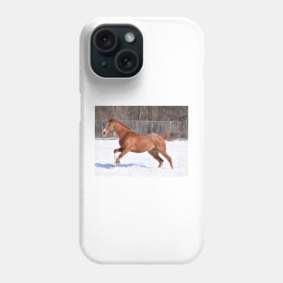 Verrazano filly Phone Case