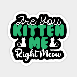 Are You Kitten Me Right Meow Magnet