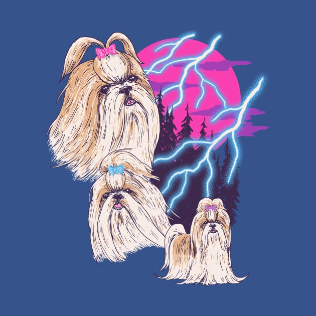 Lightning Shih Tzu by Hillary White Rabbit