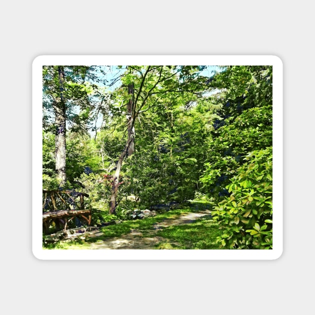 Path in the Park Magnet by SusanSavad