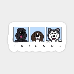 Friends Magnet