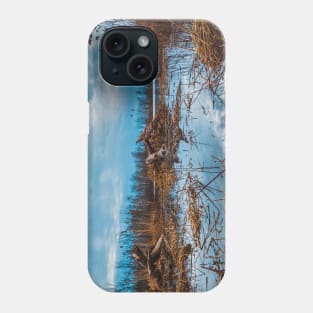 Cloudy Marsh, Landscape Photograph Phone Case