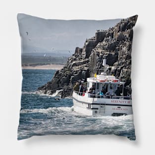 Serenity III Farne Islands tour boat moves near a Guillemot colony Pillow