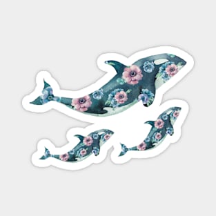 A Whale of a Print Magnet