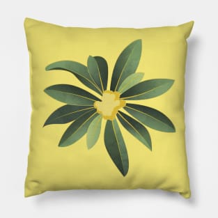 Loquat medlar flower in Autumn Pillow