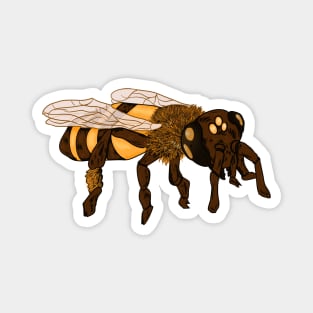 Honey Bee Magnet