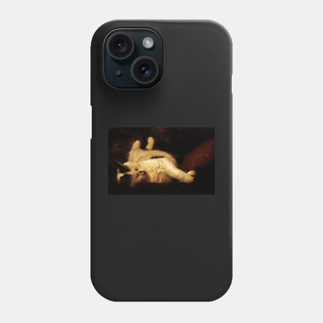 So Content Phone Case by Ladymoose