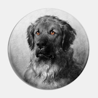 Portrait Of A Dog Pin