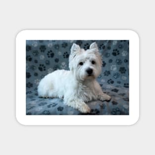 Westie Magnet