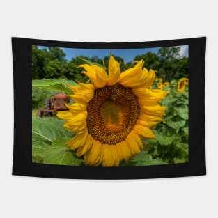 Sunflower Time Tapestry