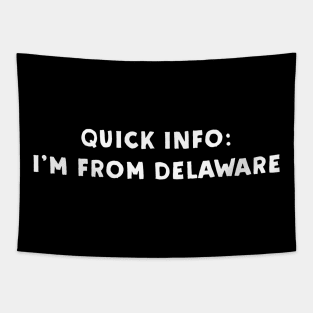 Delaware Cool & Funny Tapestry