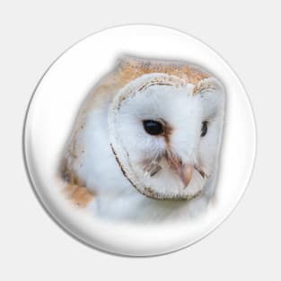 Cut out of a barn owl Pin