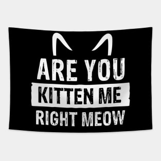 Are You Kitten Me Right Meow Tapestry