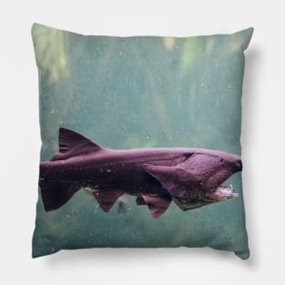 fish, ocean, marine life, ray, shark, stingray- sawfish Pillow