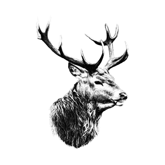 Deer portrait by Guardi