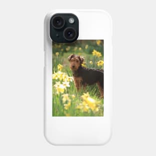 Welsh Terrier puppy amongst daffodils Phone Case