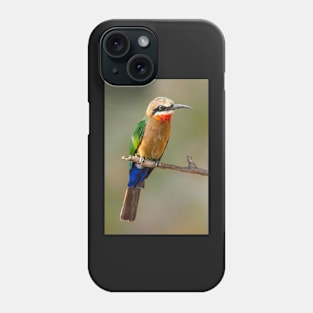 Whitefronted Bee-eater, Botswana Phone Case