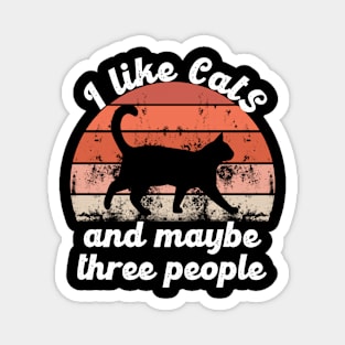 i like cats and maybe three people Magnet