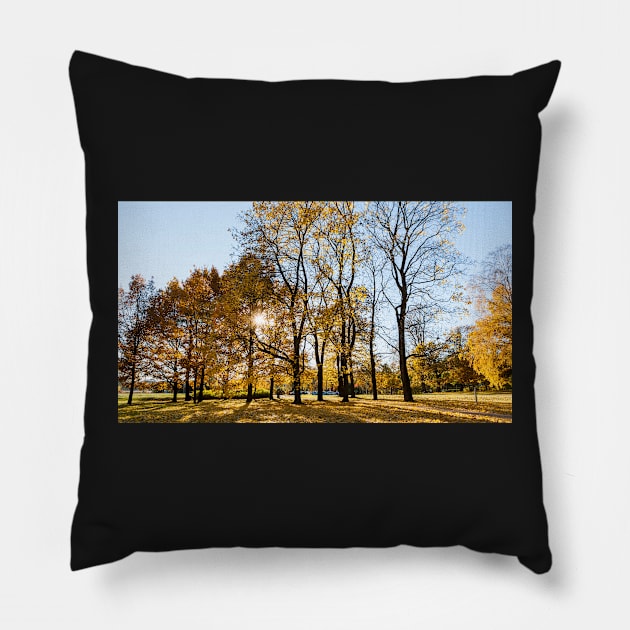 Autumn in Helsinki Pillow by ansaharju