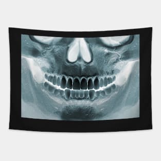 Killer Masks - Skull X-Ray Tapestry