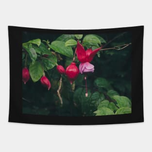 Fuchsia 1 Tapestry